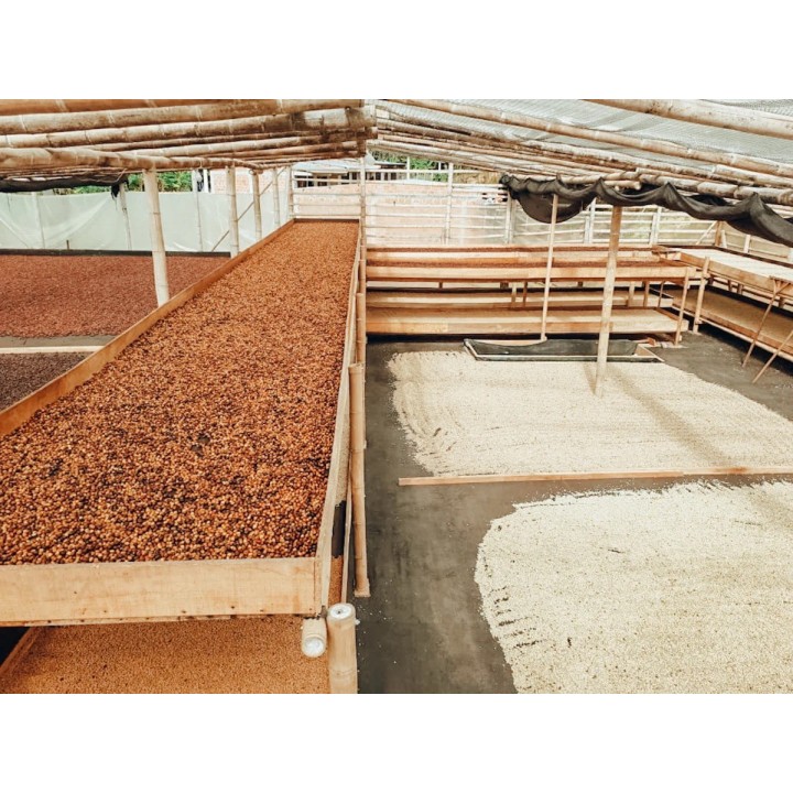 Café connaisseur de Colombie, Huila