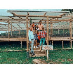 Café connaisseur de Colombie, Huila
